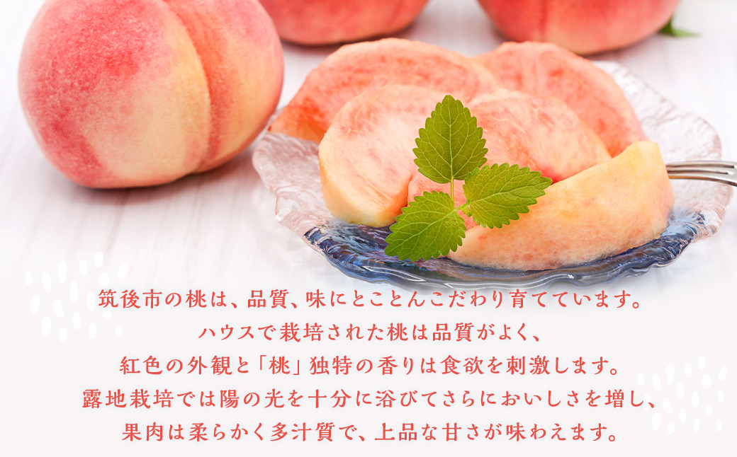  桃 8玉～9玉 福岡県産 産地直送 フルーツ 果物