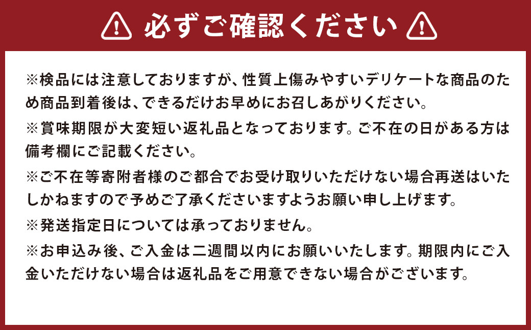 小玉 すいか 2玉入り 3Lサイズ 約3kg【2026年4月下旬～8上旬発送予定】