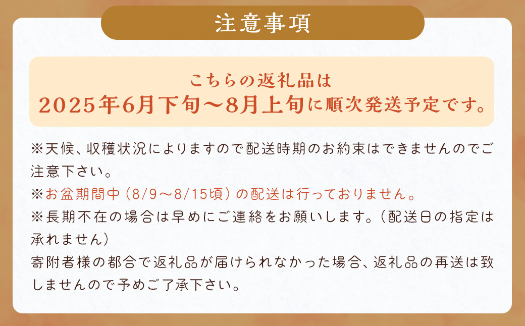 数量限定 種なし 巨峰  約350g×4パック 計約1.4kg ぶどう 福岡県産