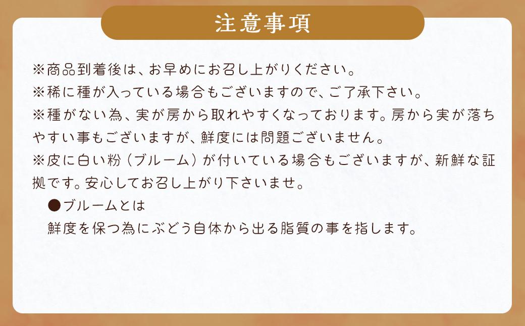 数量限定 種なし 巨峰  約350g×4パック 計約1.4kg ぶどう 福岡県産