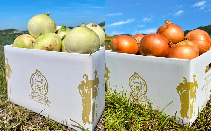 原田兄弟の一番玉ねぎ　５kg