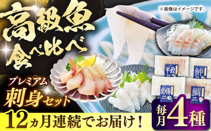 海鮮セット 魚介セット 海の幸セット  プレミアム プレミア 希少 食べ比べ