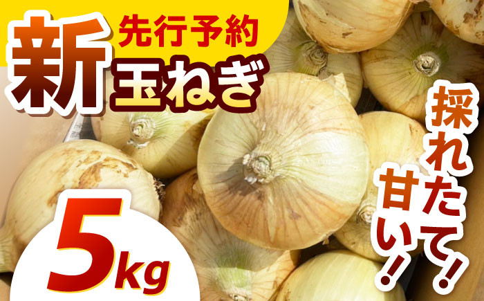 季節限定『新玉ねぎ』5kg 玉ねぎ 玉葱 サラダ 新玉 新鮮 野菜