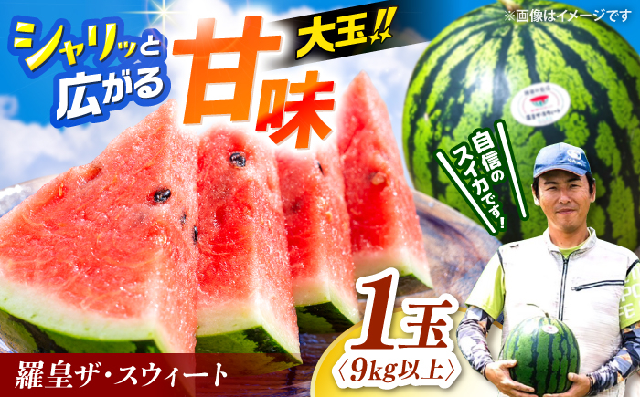 西海 大玉 スイカ すいか