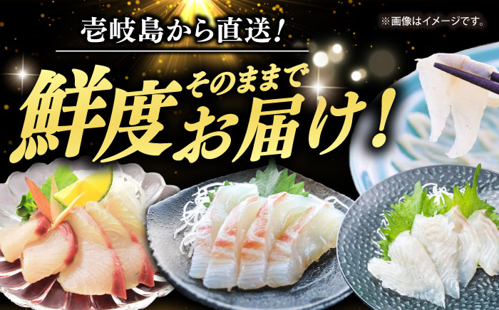 トラフグ ヒラメ ヒラマサ マダイ 魚介 鮮魚 刺身 刺し身