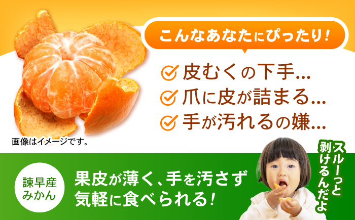 みかん 蜜柑 ミカン 柑橘 オレンジ おれんじ 果物 フルーツ 甘い