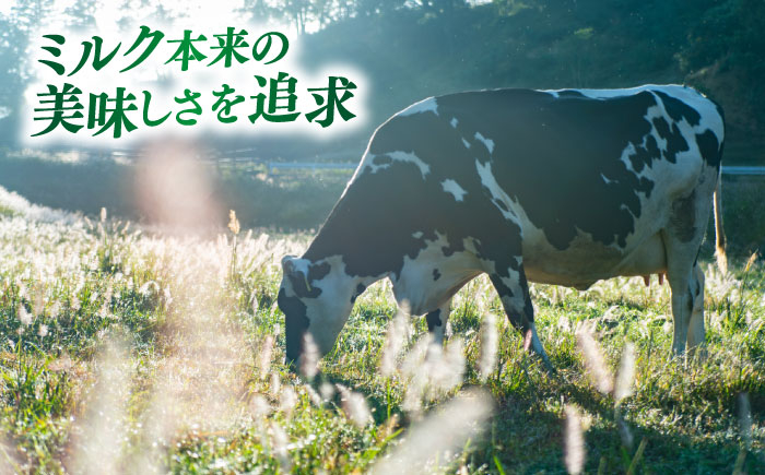 チーズ 木次乳業 唐辛子 ピリ辛 おつまみ ナチュラル 島根県 雲南市