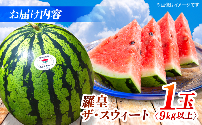 西海 大玉 スイカ すいか