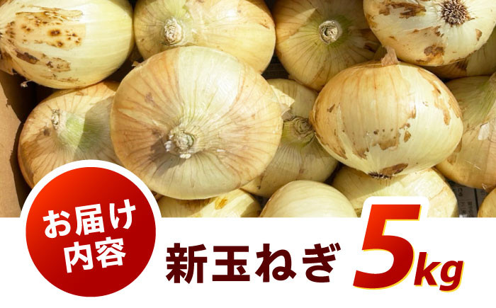 季節限定『新玉ねぎ』5kg 玉ねぎ 玉葱 サラダ 新玉 新鮮 野菜