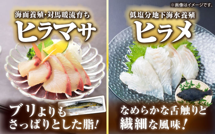 海鮮セット 魚介セット 海の幸セット  プレミアム プレミア 希少 食べ比べ