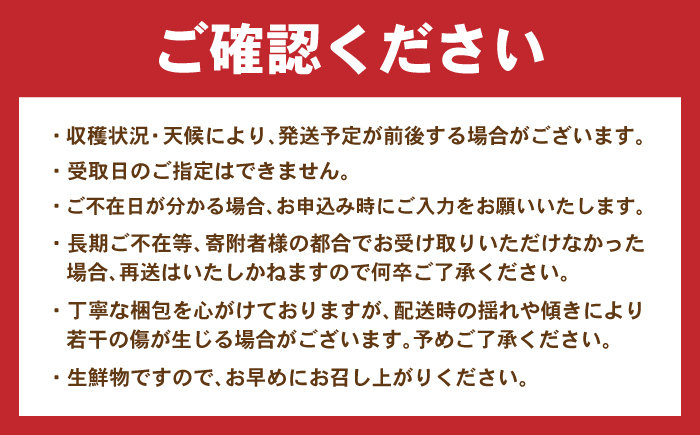 みかん 蜜柑 ミカン 柑橘 オレンジ おれんじ 果物 フルーツ 甘い