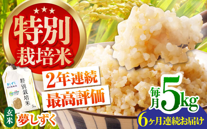 ＜全6回定期便＞特別栽培米「夢しずく」玄米5kg【だいちの家】 [HAG033]