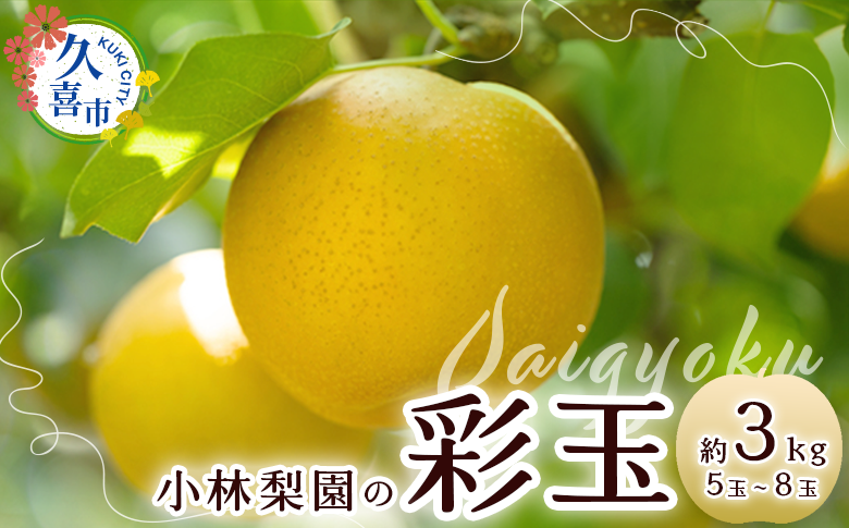 梨 彩玉 約3kg 5玉～8玉 先行予約 数量限 | 梨 なし 彩玉 フルーツ 果物 高級 産地直送 限定品 贈り物
