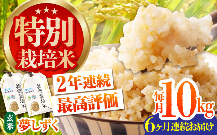【安心・安全な佐賀の米】＜全6回定期便＞特別栽培米「夢しずく」玄米10kg【だいちの家】[HAG025]