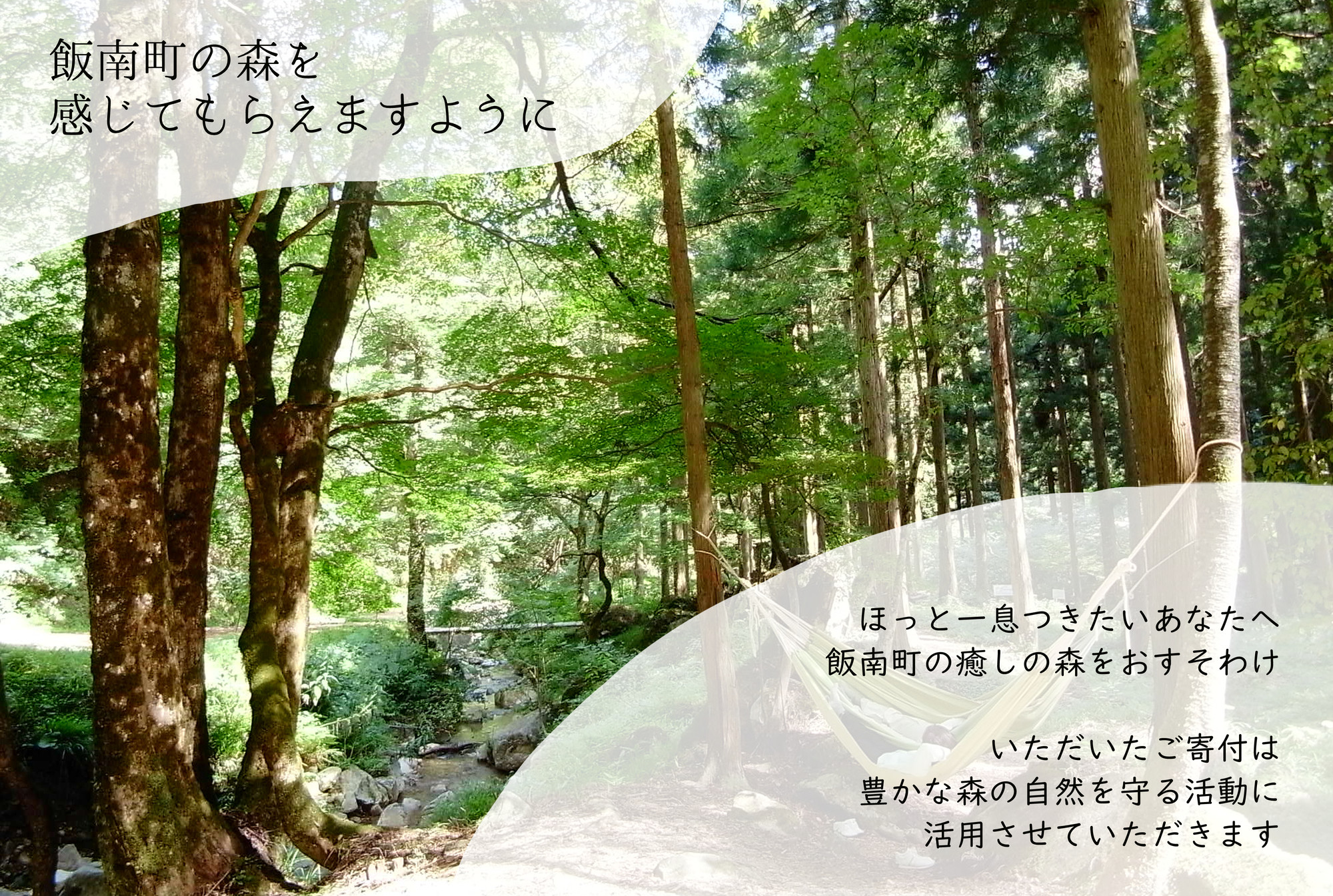 飯南町の森は癒しの森