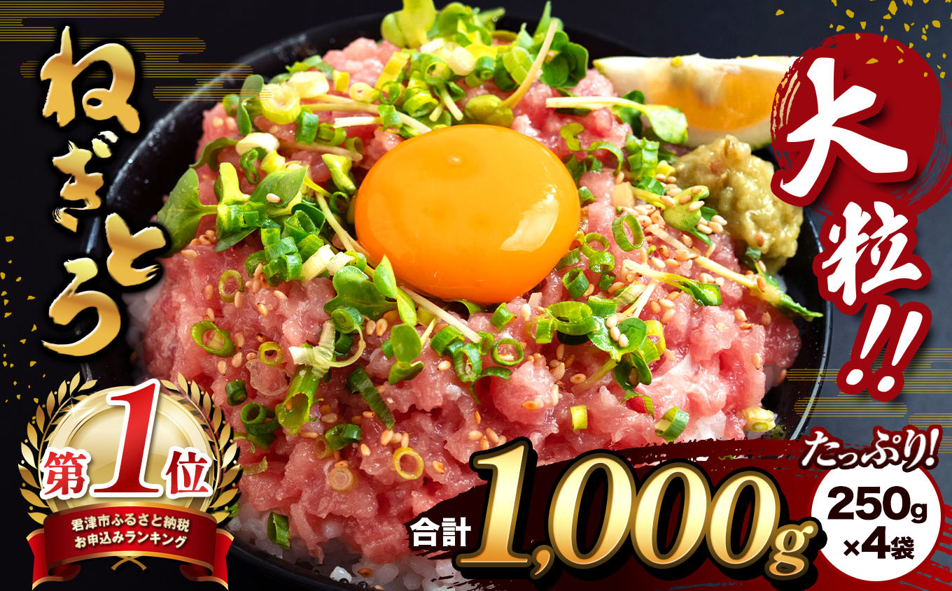 人気！君津市のねぎとろ