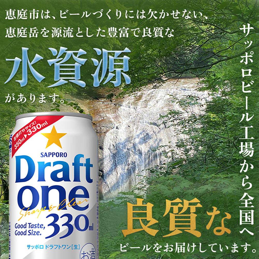 『定期便：全2回』 ドラフトワン330ml×24本