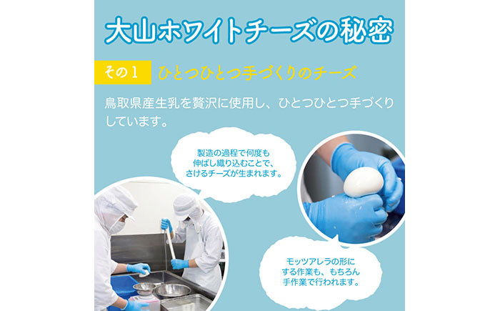 り25-011 大山ホワイトチーズ