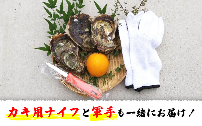 牡蠣 岩ガキ 約3kg（約15個～25個）便利なナイフ・軍手付き♪  ＜ハマフジ水産＞
