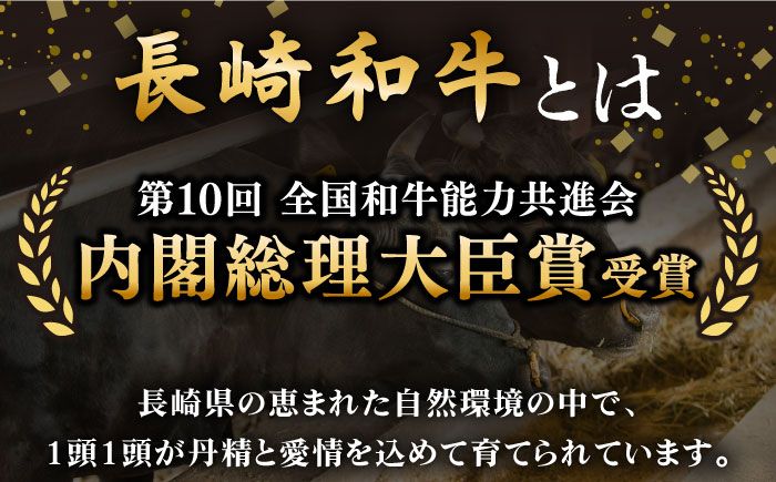 【希少部位】長崎和牛 ヒレ ステーキ ステーキ 和牛 ヒレステーキ ヒレ 厚切り 牛肉 ヒレ ステーキ ヒレ肉