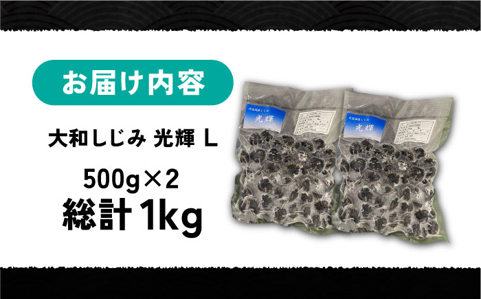 しじみ しじみ汁 味噌汁 みそ汁 宍道湖 しんじ湖 砂抜き 砂出し 冷凍
