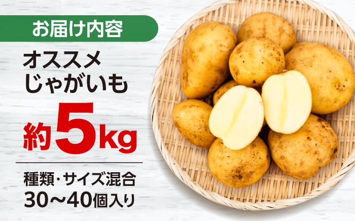 長崎 西海 じゃがいも