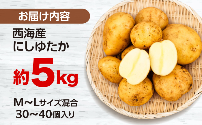 長崎 西海 じゃがいも