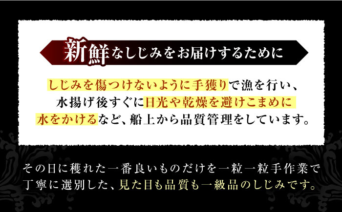 しじみ しじみ汁 味噌汁 みそ汁 宍道湖 しんじ湖 砂抜き 砂出し 冷凍