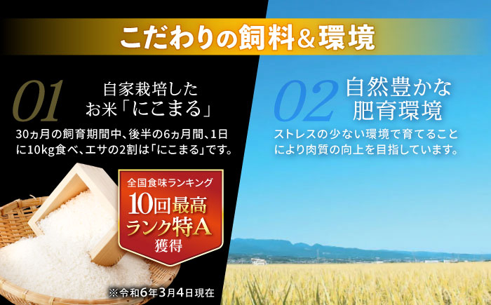 長崎和牛 牛肉 ぎゅうにく 和牛 牛 肉 にく 国産 国産牛 焼肉 やきにく サーロインステーキ さーろいんすてーき サーロイン