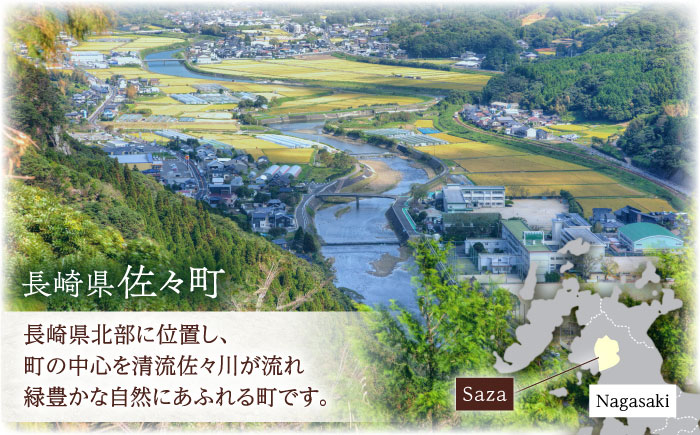 【希少部位】長崎和牛 ヒレ ステーキ ステーキ 和牛 ヒレステーキ ヒレ 厚切り 牛肉 ヒレ ステーキ ヒレ肉