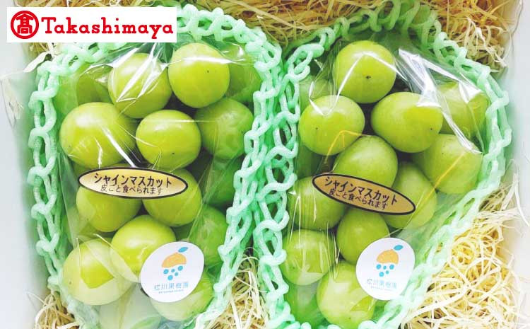 【高島屋選定品】松川果樹園 シャインマスカット 2房（900g）【2025年8月下旬発送予定】