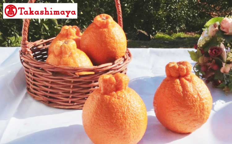 【高島屋選定品】松川果樹園 不知火 計2kg