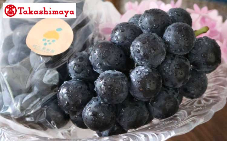 【高島屋選定品】松川果樹園 巨峰 3房（1.2kg）【2025年7月上旬～7月下旬発送予定】
