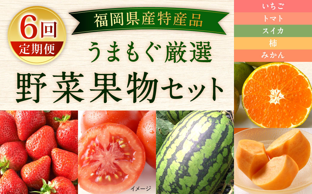 【福岡県産 特産品 年6回定期便】うまもぐ厳選 野菜果物セット