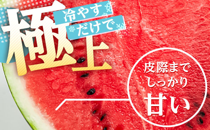 すいか スイカ 西瓜 尺玉スイカ くだもの 果物 糖度 羅皇ザスウィート 羅皇 産地直送 ギフト 贈り物 高級フルーツ 期間限定