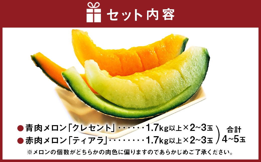 大玉 メロン 青肉 赤肉 4~5玉 詰合せ セット (1玉 1.7kg以上)