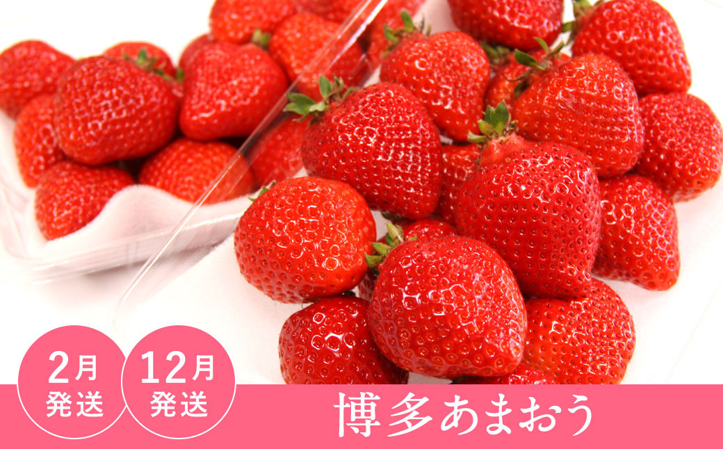 【福岡県産 特産品 年6回定期便】うまもぐ厳選 野菜果物セットDX
