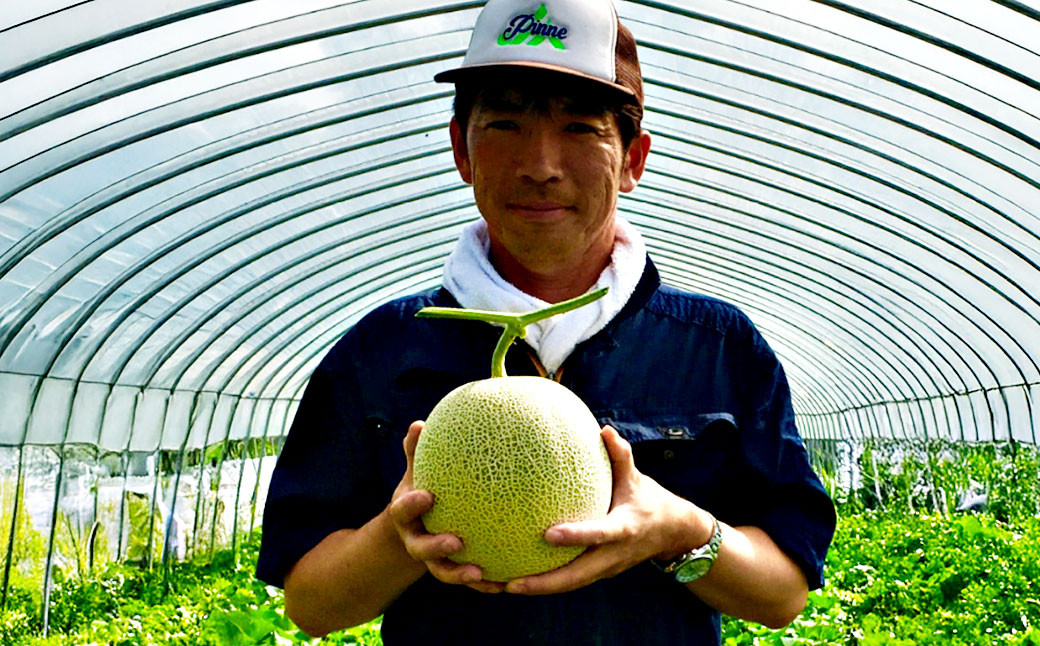 大玉 赤肉 メロン 2玉 詰め合わせ （1玉 1.7kg以上）