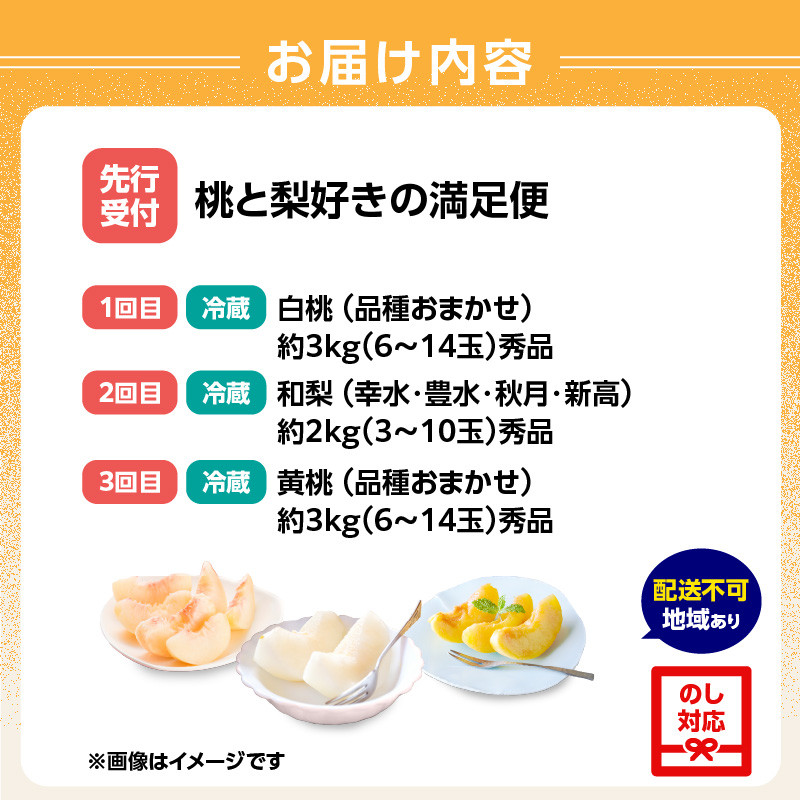 ≪先行受付≫ 桃と梨好きの満足定期便【定期便全3回】