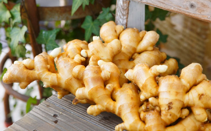 福山ブランド認定品！生姜 シロップ ジンジャー 生姜 しょうが湯