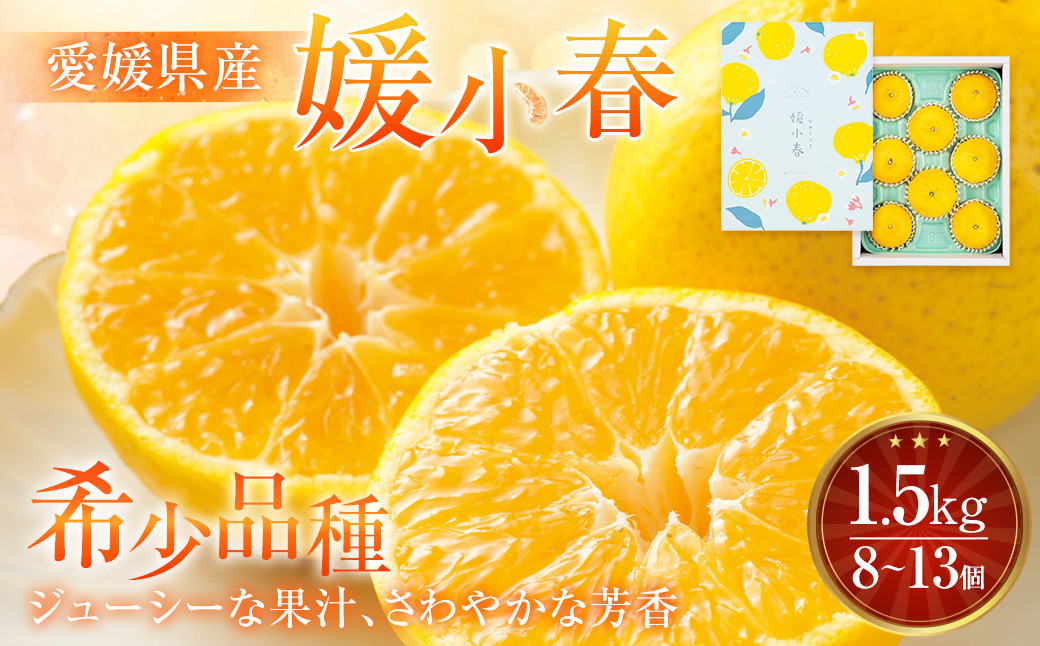 愛媛県産 媛小春 1.5kg(8~13個) みかん 果物 フルーツ 【2026年1月下旬~2月上旬発送予定】(874)