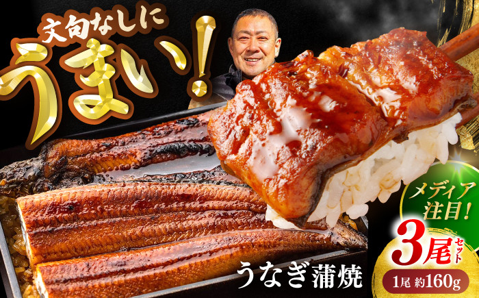 高知県産 うなぎ 長蒲焼3尾 約160g×3 3〜6人前/ 鰻 ウナギ 土用丑の日 高知産 うなぎ 【土佐黒潮水産】 [ATCQ