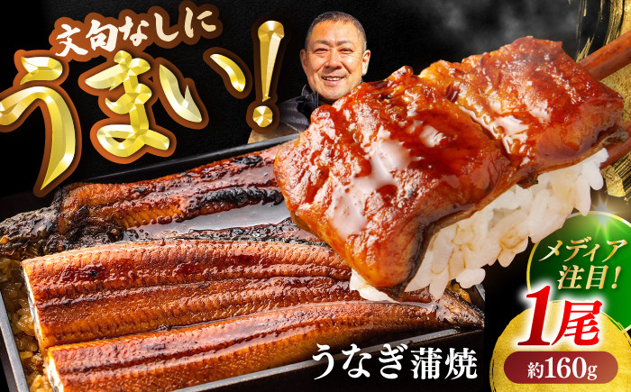 高知県産 うなぎ 長蒲焼1尾 約160g×1 1〜2人前/ 鰻 ウナギ 土用丑の日 高知産 うなぎ 【土佐黒潮水産】 [ATCQ