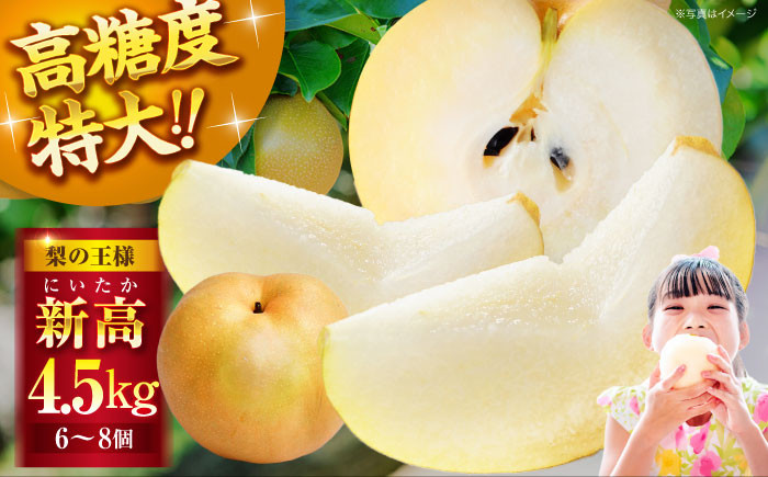 食品 果物 フルーツ おやつ デザート 梨 なし ナシ 新高 ジュース スムージー 贈答品 ギフト プレゼント