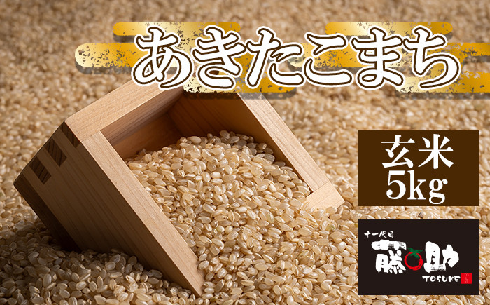 画像はイメージです