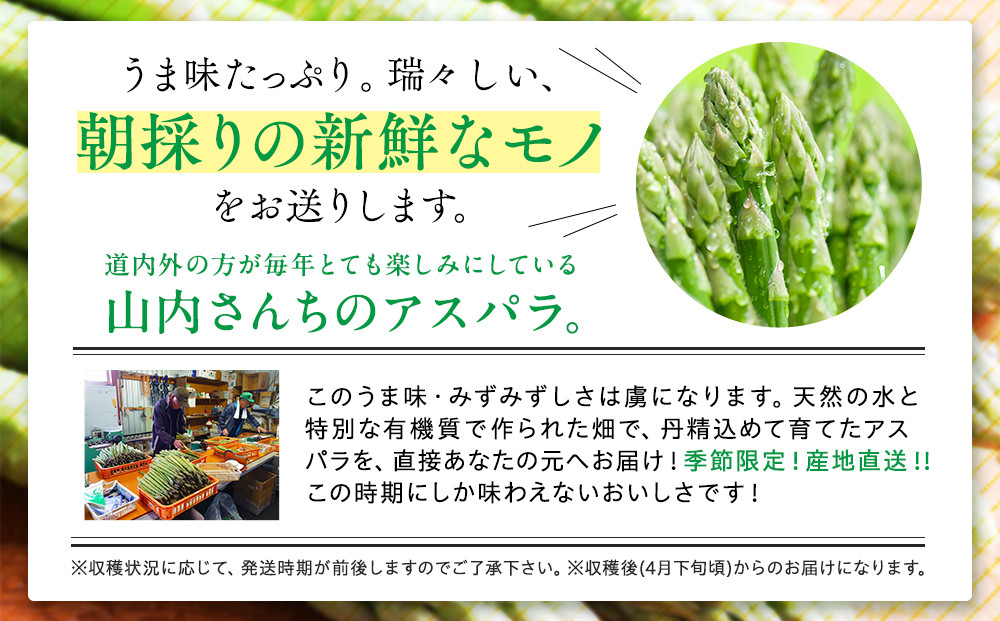 1本1本、丁寧に収穫