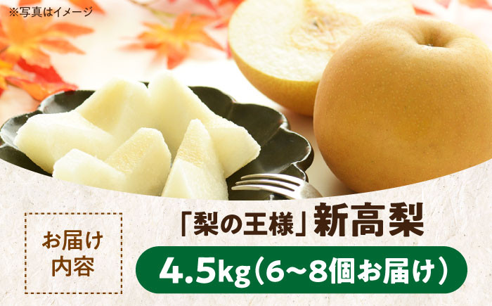 食品 果物 フルーツ おやつ デザート 梨 なし ナシ 新高 ジュース スムージー 贈答品 ギフト プレゼント