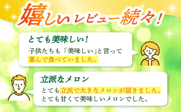 アールスメロン 2玉 約4kg メロン