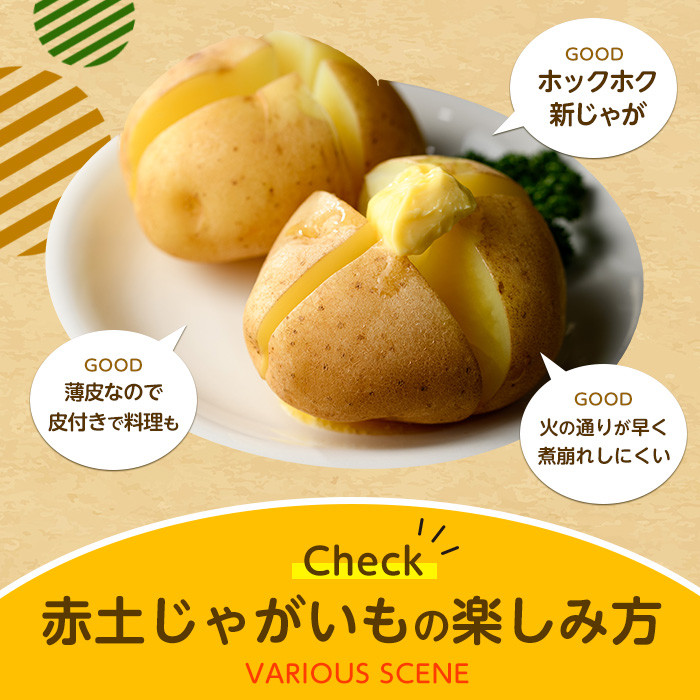 掘りたて土つきじゃがいもアップ写真