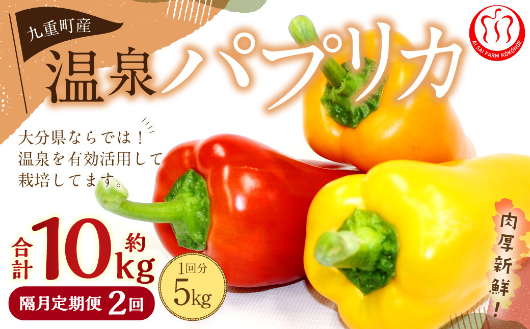 【隔月2回定期便】 大分県 九重町産 温泉パプリカ 計約10kg（約5kg×2回）